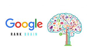Google Rank braing y la arquitectura web
